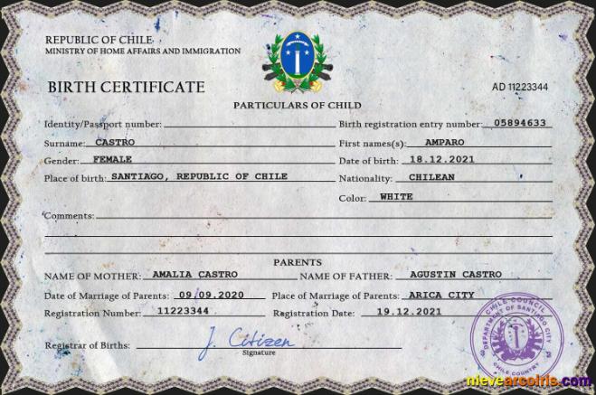 Chile vital record birth certificate